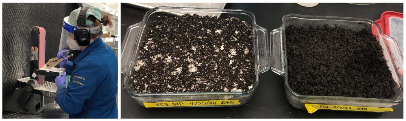 Figure 1. Soleic® thermoplastics were ground into microplastics (left) and then mixed into compost (left tray of right image). Over time, the microplastics biodegrade and cannot be seen in the compost (right tray of right image).